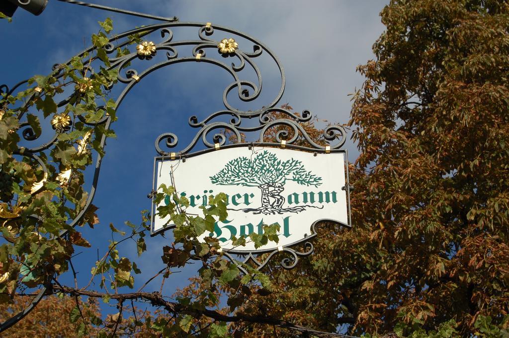Hotel Gruener Baum Bretzenheim ภายนอก รูปภาพ